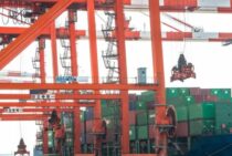 ヒアリの特徴と大きさ｜発見したら通報！ヒアリを増やす駆除法に注意