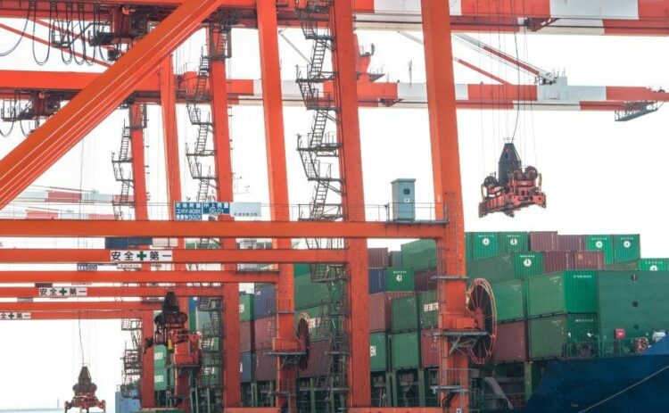 ヒアリの特徴と大きさ｜発見したら通報！ヒアリを増やす駆除法に注意