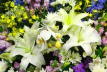 動物の供養まとめ！供養の意味からペットの火葬方法までを解説します