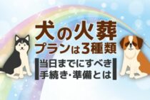 犬の火葬費用はどれくらい？火葬方法や業者選びのコツ、当日の流れ