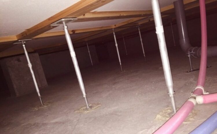 床下にいるねずみの種類や駆除の方法を解説