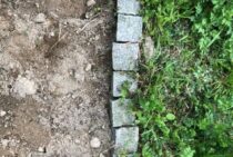 除草方法を知って雑草を根絶！除草剤の効果やDIYでの使い方も紹介