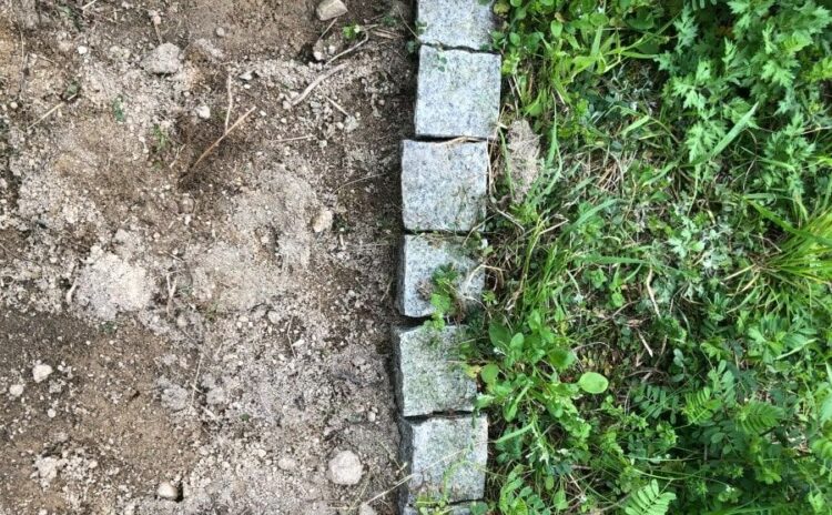 除草方法を知って雑草を根絶！除草剤の効果やDIYでの使い方も紹介