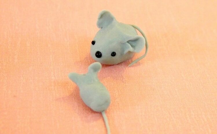 ねずみを殺すのはかわいそう？駆除できない人におすすめの対処法