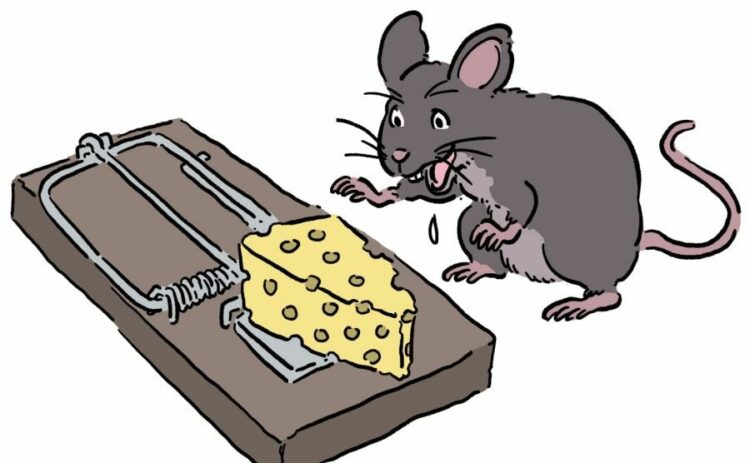 ねずみ駆除に使う毒餌にはどんな効果があるの？