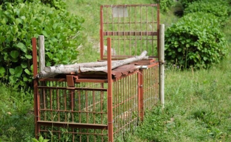 罠の設置には免許が必要！狩猟免許試験の内容から合格率や費用まで！