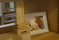 ペット葬儀業者に聞く火葬の流れ。丁寧な心遣いを取材しました