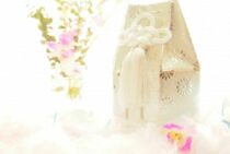 【ペット】手元供養の方法と骨壺を保管するときの湿気対策について