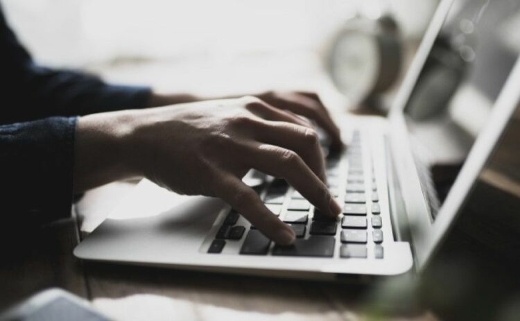 ねずみ駆除業者の失敗しない選び方！おすすめな業者はここ