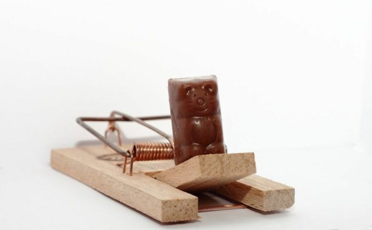 ねずみ駆除の罠を自分で作る方法と注意点！セルフ駆除は処理するのが大変？