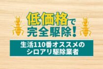 おすすめのシロアリ駆除業者一覧｜安心して依頼するための選び方を解説