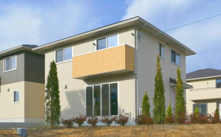 鉄骨造の家でもシロアリは侵入する？注意すべき場所7選を解説！