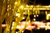 イルミネーションライトはLEDがよい？選びかたと設置方法・注意点