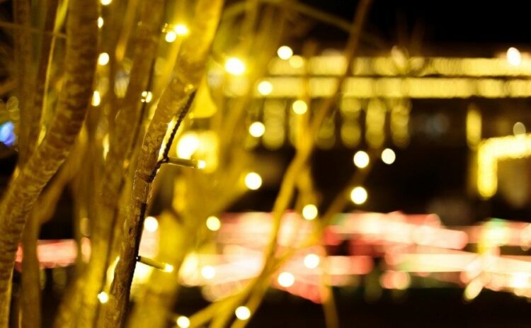 イルミネーションライトはLEDがよい？選びかたと設置方法・注意点