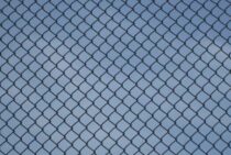 ネズミ対策ネットを使って侵入を予防しよう！侵入口の見つけ方も解説