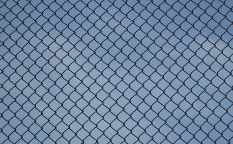 ネズミ対策ネットを使って侵入を予防しよう！侵入口の見つけ方も解説