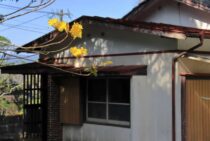 空き家のネズミ対策！放置して被害が大きくなる前に駆除・対策しよう