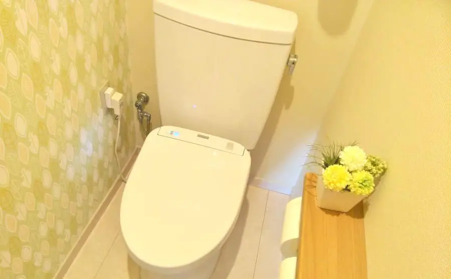 侵入口はトイレ！？ネズミの対策方法と駆除方法を詳しく解説