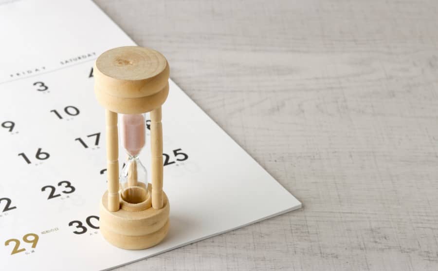 クマネズミの寿命は約1～3年