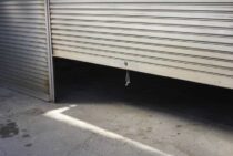 車庫のネズミを対策するには？駆除方法や危険性の高さをくわしく解説