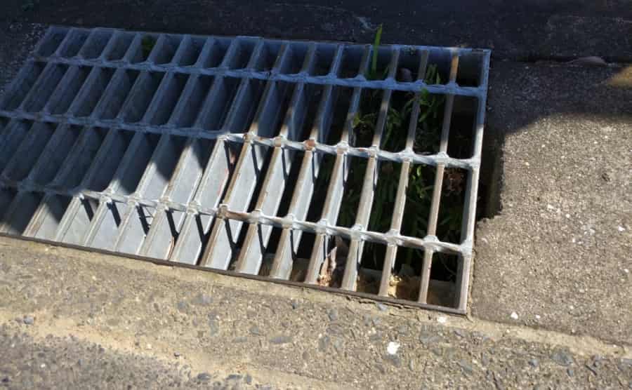 下水のネズミ対策方法を解説