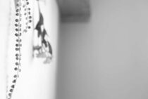 ねずみ駆除で壁の中を対策するには！閉鎖的な空間を活かす方法を解説