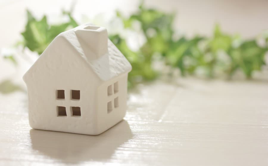 一戸建てでねずみの駆除なら業者がおすすめ！方法や費用相場とは？