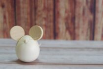 ねずみ駆除に正露丸が効果的？完全に家から追い出すための方法まとめ