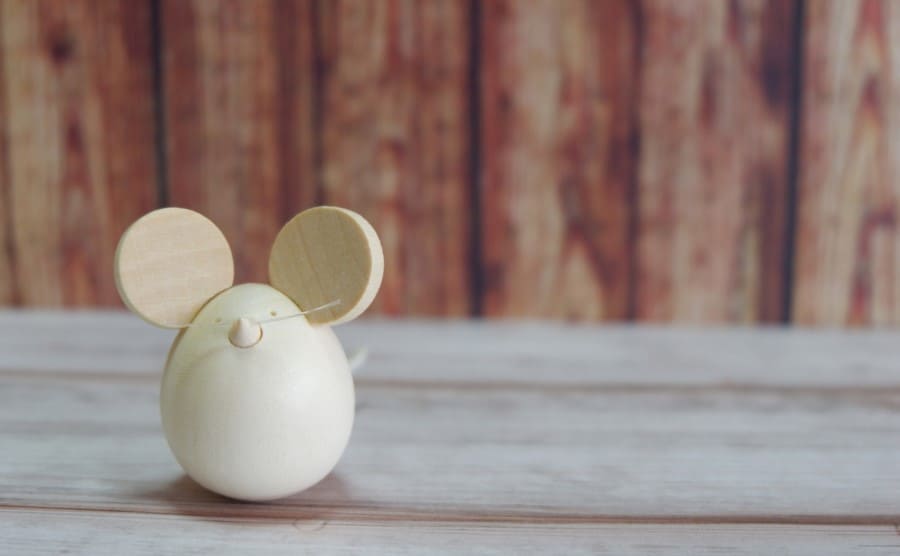 ねずみ駆除に正露丸が効果的？完全に家から追い出すための方法まとめ