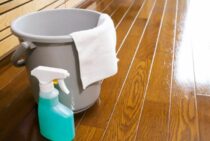 ねずみ駆除にバケツトラップが超効果的！捕獲罠の使い方や作り方解説