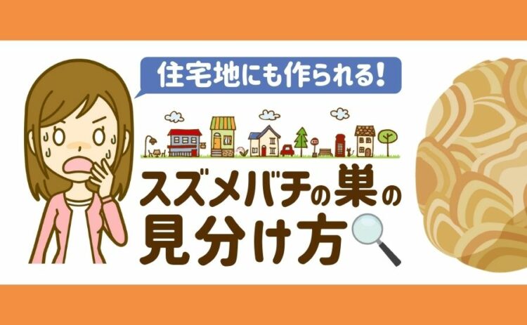 住宅地にも作られる！スズメバチの巣の見分け方