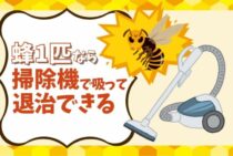 蜂の巣は掃除機で退治することはできる？退治方法や注意点について