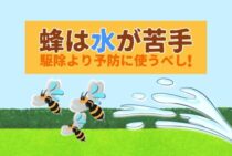 蜂の巣に水をかける方法は危険！？業者に頼らず正しく駆除する手順