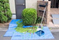 剪定シートは目的別に選ぼう！使用するときに知っておきたい注意点も