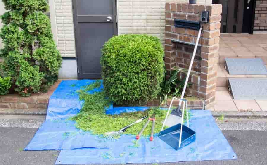 剪定シートは目的別に選ぼう！使用するときに知っておきたい注意点も