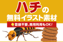 ハチのイラスト無料素材！登録不要、商用利用もOK