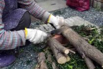 剪定のこぎりは用途に合わせて選ぶのがおすすめ｜種類や使い方を解説