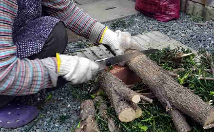 剪定のこぎりは用途に合わせて選ぶのがおすすめ｜種類や使い方を解説