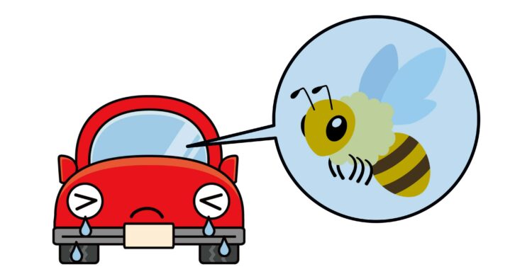 車や家で蜂の巣を発見！適切な手順でしっかり駆除しましょう