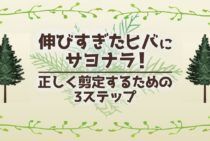 ヒバの剪定方法・時期｜成長が速いヒバの形と大きさを整える育て方