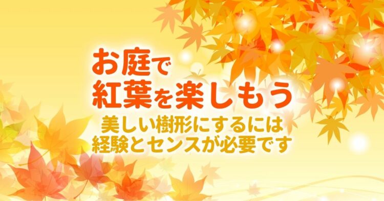 もみじの種類を解説。お庭をどう彩りたいかによってもみじを選ぼう-min