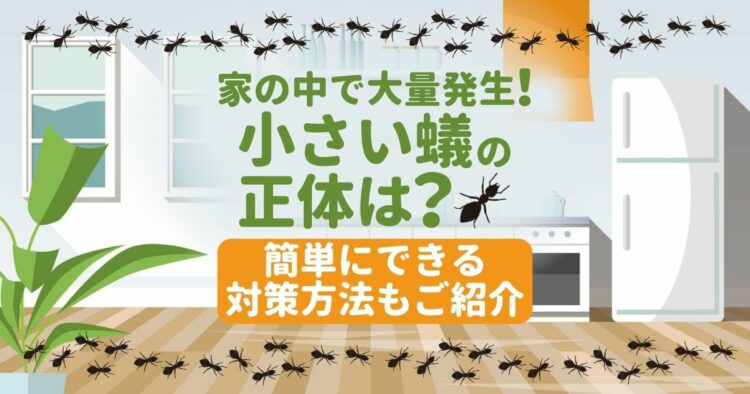 家の中で大量発生！小さい蟻の正体は？ 簡単にできる対策方法もご紹介