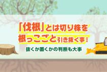 いらない木は伐根で撤去！手間なく跡形もなく木を処分する方法と費用