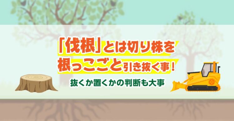 伐根とは切り株を根っこごと引き抜くこと。抜くか置くかの判断も大事