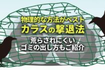 カラス対策にお悩みの方へ！効果的に撃退できるグッズと生ごみを守る方法