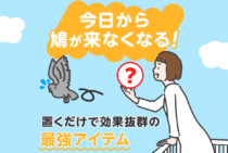 鳩が嫌いなもの4つ！嫌がる音や臭いで効率よく追い払おう
