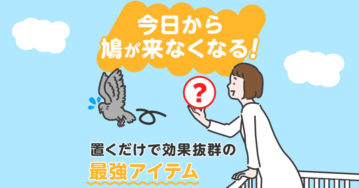 今日から鳩が来なくなる！置くだけで効果抜群の最強アイテム