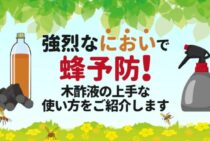 木酢液は蜂対策として効果あり！スプレーを作って蜂を予防しよう