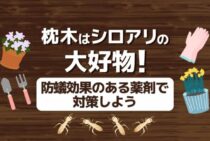 枕木のシロアリ被害にご用心！シロアリ被害を食い止めるために知っておきたい対策や駆除方法