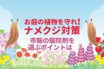 ナメクジを駆除して植物を守れ！家にあるもので簡単ナメクジ対策